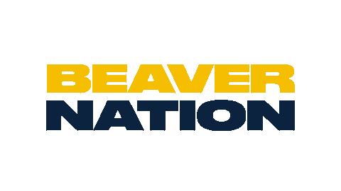 Bvu Sticker by Buena Vista University