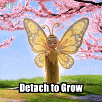 Freedom Letting Go GIF by BuddhaFlyJourney