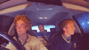 Sing Mamma Mia GIF by FoilArmsandHog