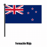 New Zealand Flag GIF by Formación Ninja
