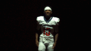 cnfb18 cnfootball18 GIF by Carson-Newman Athletics