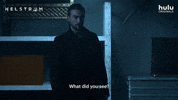Tom Austen Helstrom GIF by HULU