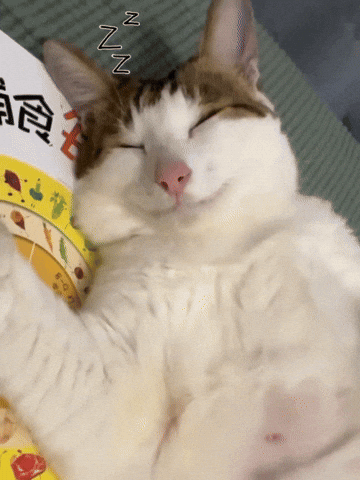 Sleepy Cat Baobao GIF