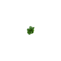 themyersway organic veggies greens superfood Sticker