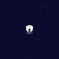 Celebration Yes GIF by Eisbären Berlin