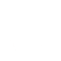 Seize The Day Orange Sticker