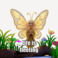 GIF by BuddhaFlyJourney