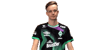 Fifa Ea Sticker by SV Werder Bremen