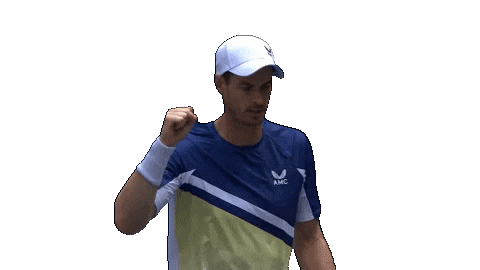 Celebrating Us Open Tennis Sticker by US Open