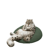 LazyThings nft things lazy nfts Sticker