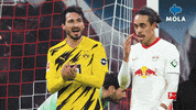Happy Fun GIF by MolaTV