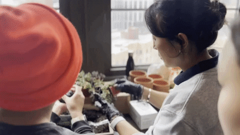 Hsfi GIF by The High School of Fashion Industries