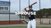 vwu_marlins baseball bat homerun 33 GIF