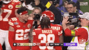Super Bowl Sport GIF by NFL