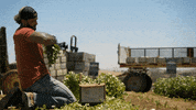 Mike Work Hard GIF by CBS