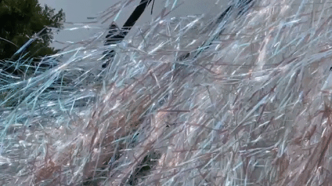 RoxySavage giphygifmaker GIF