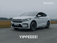 Freedom Yes GIF by Škoda Global