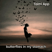 Butterflies Levitating GIF by Taimi