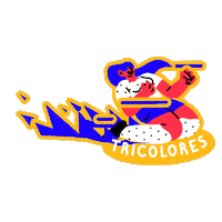 france soccer Sticker by Nike Football