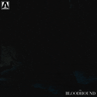 Liam Aiken What GIF by Arrow Video