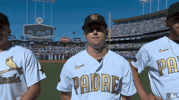 Major League Baseball Sport GIF by MLB