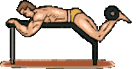 fitness STICKER