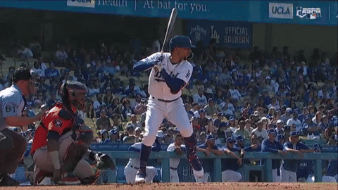 tesstass giphyupload GIF