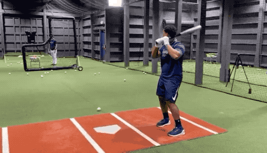 katherinepreusser giphyupload GIF