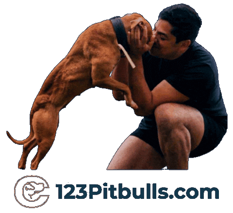 Pitbull Apbt Sticker by Chico Lopez