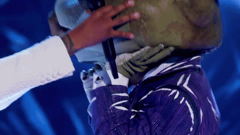 Bow Wow Frog GIF by The Masked Singer