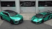 open up cars GIF by Yiannimize