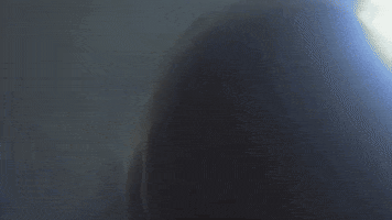 kimcarnesmusic retro music video 80s sunglasses GIF