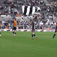 Newcastle United Sport GIF by Newcastle United Football Club