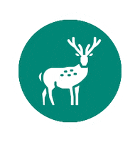 Sustainability Finland Sticker by World2Meet