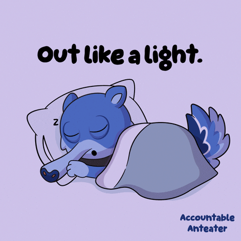 Night Sleeping GIF by VeeFriends