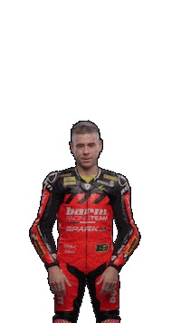 Go Alvaro Bautista Sticker by WorldSBK