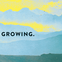Yokecreativeagency illustration branding grow stopmotion GIF