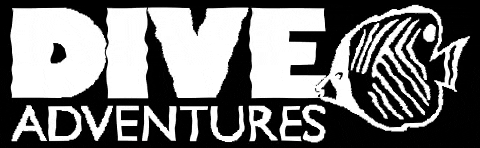 diveadventures giphygifmaker travel diving dive GIF