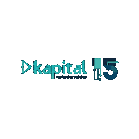 15 Anos Sticker by Kapital