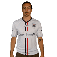 FCAarau fcaarau almeida mickaelalmeida Sticker