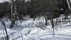 vermont snowboarding GIF by Elevated Locals