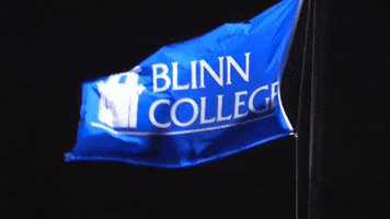 flag buccaneer GIF by Blinn College