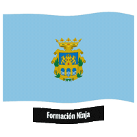 Castilla Y Leon Flag Sticker by Formación Ninja