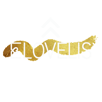 Swipe Up Love It Sticker by WHY CON VALLEY