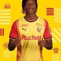 France Celebration GIF by rclens