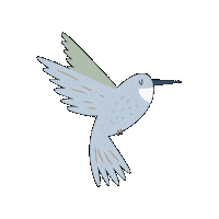 Costa Rica Bird Sticker by Vajra Jahra Villas & Retreat Center