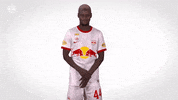 Red Bull Dance GIF by FC Red Bull Salzburg