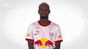 Red Bull Sport GIF by FC Red Bull Salzburg