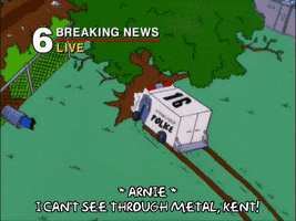 season 12 news GIF