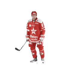 Stjernen Elite Sticker by StjernenHockey